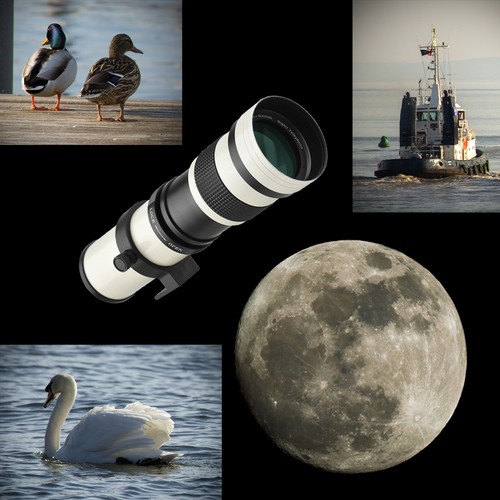 Canon fit 800 - canon,